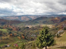 На золотистом бархате Карпат. Валахия