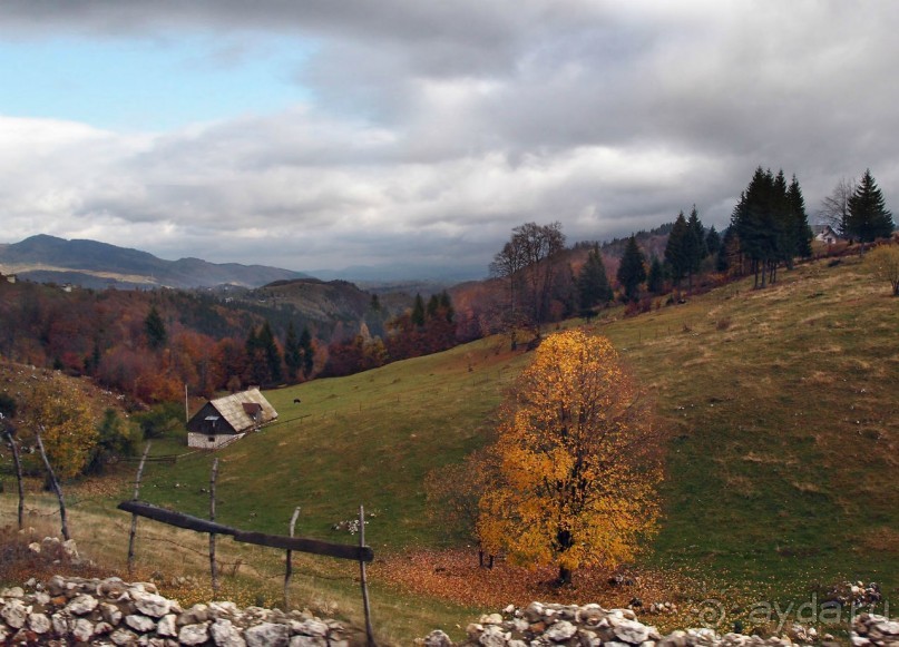 На золотистом бархате Карпат. Валахия