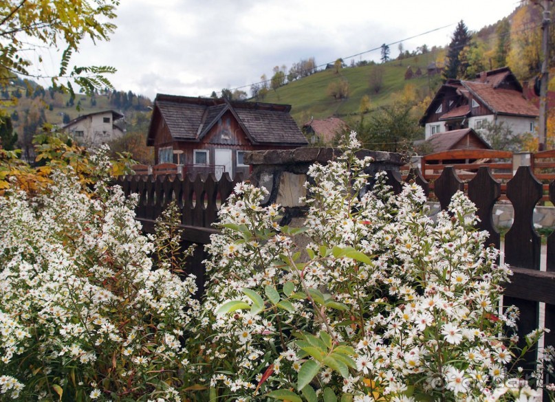 На золотистом бархате Карпат. Валахия