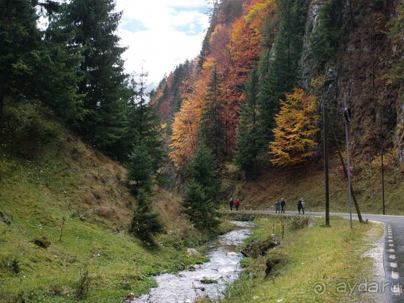 На золотистом бархате Карпат. Валахия