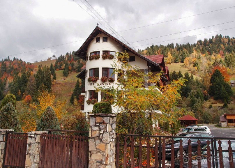 На золотистом бархате Карпат. Валахия