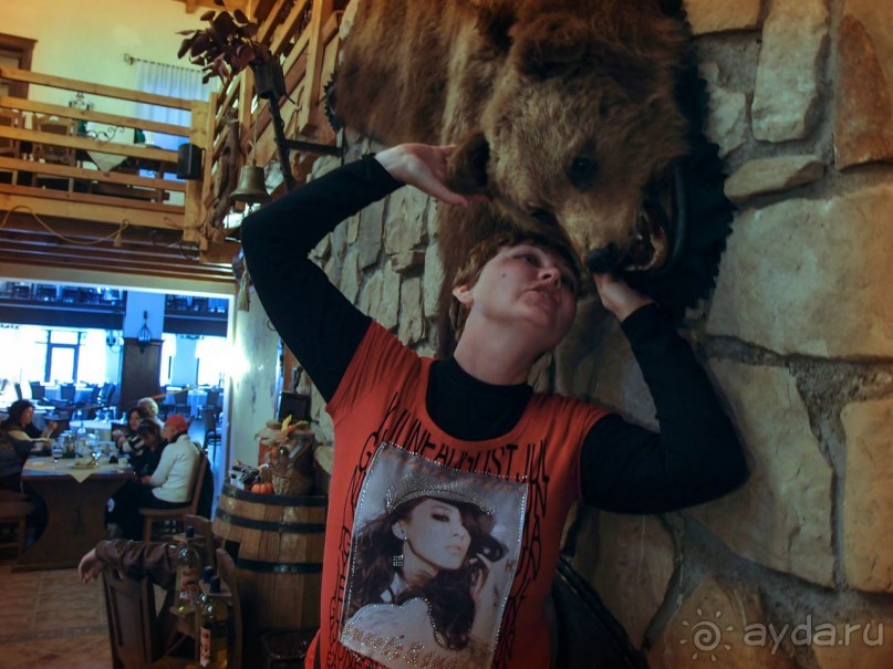 На золотистом бархате Карпат. Валахия