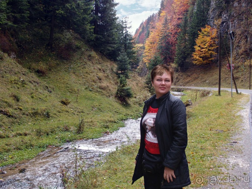 На золотистом бархате Карпат. Валахия