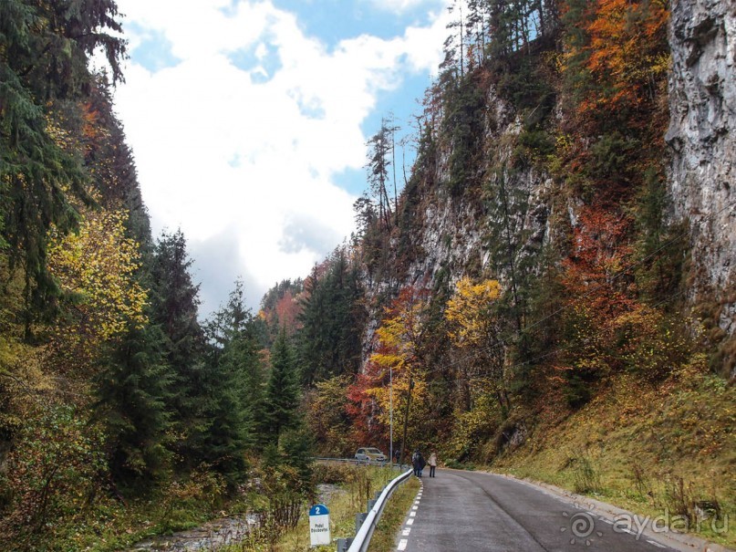 На золотистом бархате Карпат. Валахия