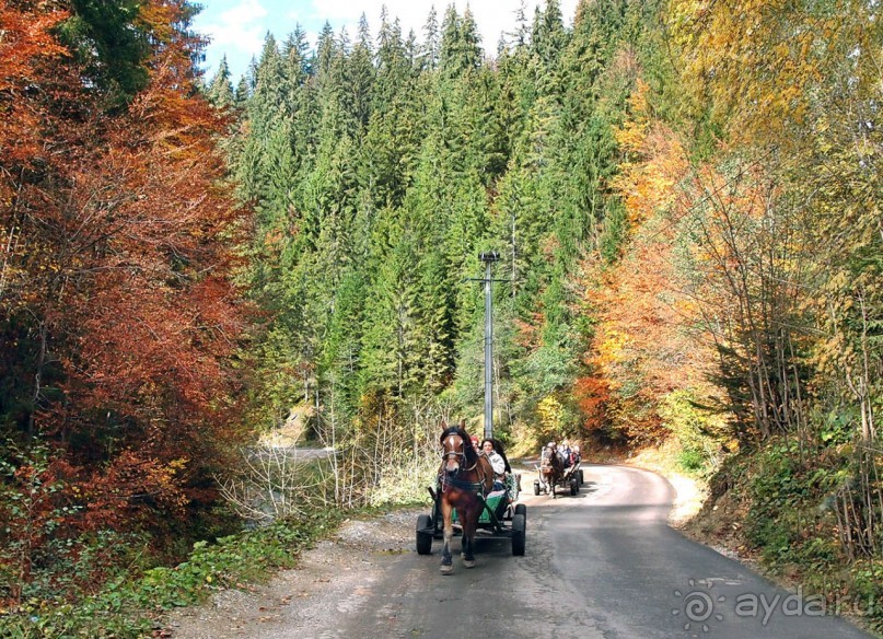 На золотистом бархате Карпат. Валахия