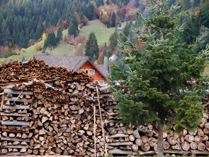 На золотистом бархате Карпат. Валахия