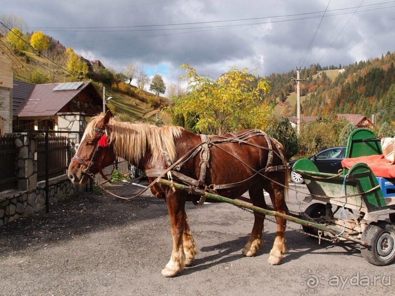 На золотистом бархате Карпат. Валахия