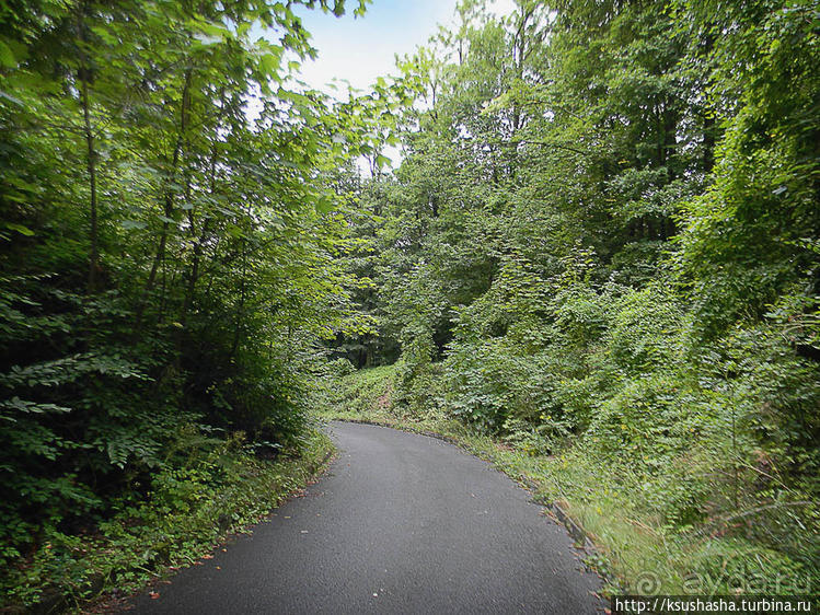 О принцессах, чугуне и бабочках