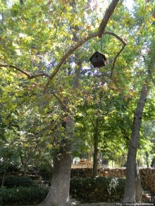 Прохлада водопадов Дюдена