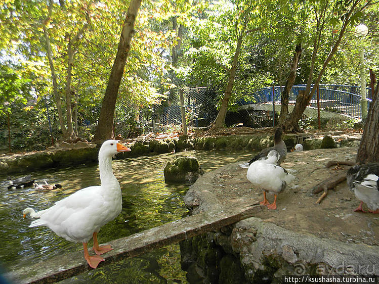 Прохлада водопадов Дюдена