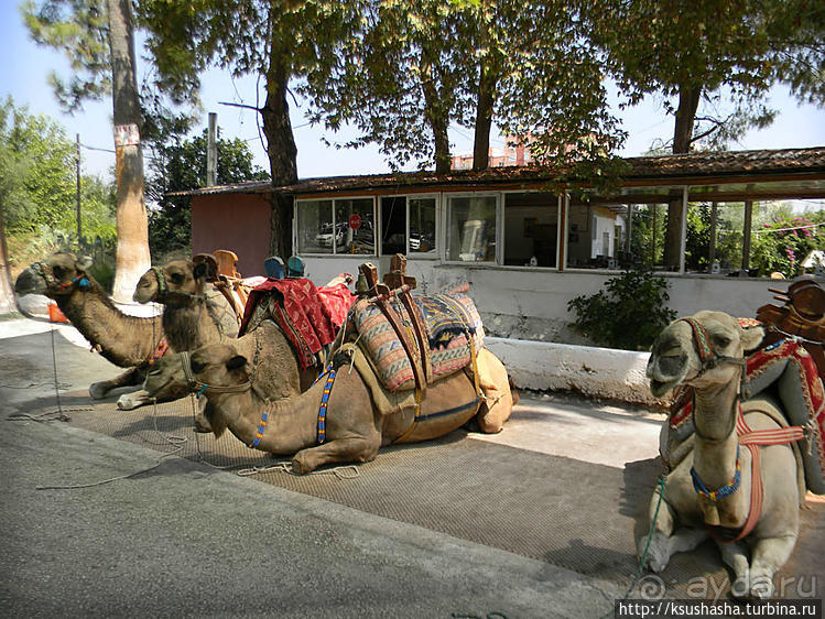 Прохлада водопадов Дюдена