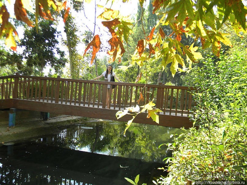 Прохлада водопадов Дюдена