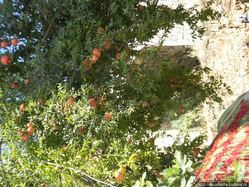 Прохлада водопадов Дюдена