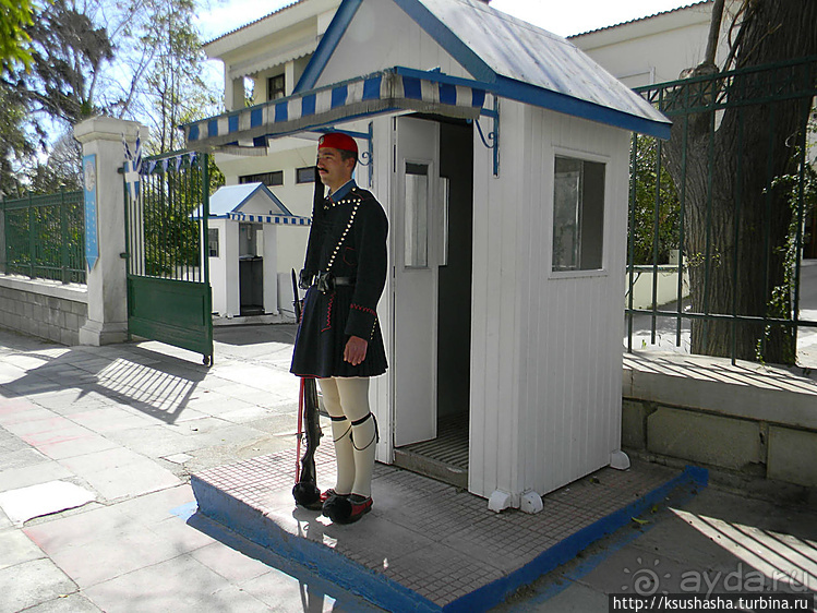 Синтагма. В погоне за эвзонами