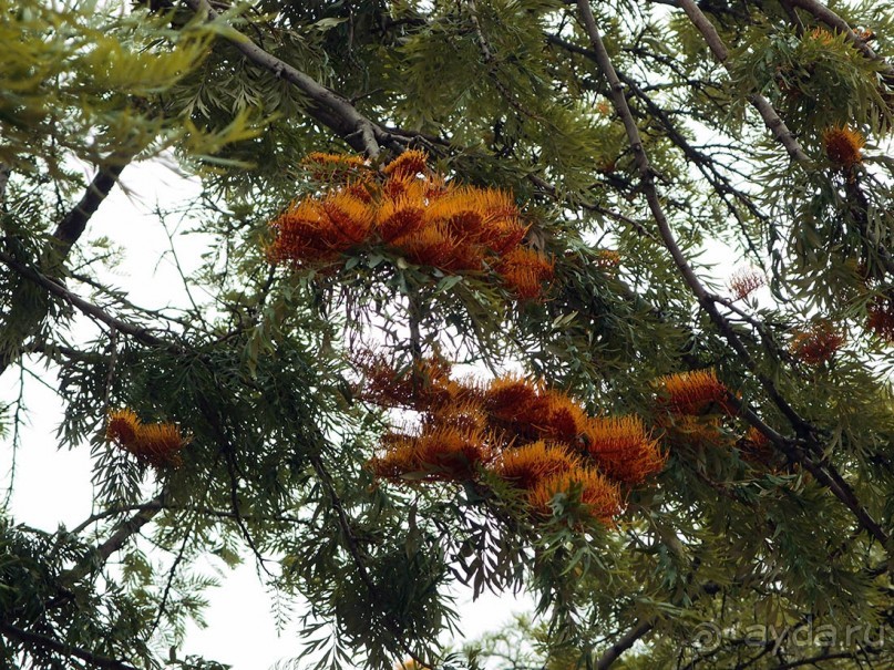 Полёт фантазии и инженерной мысли