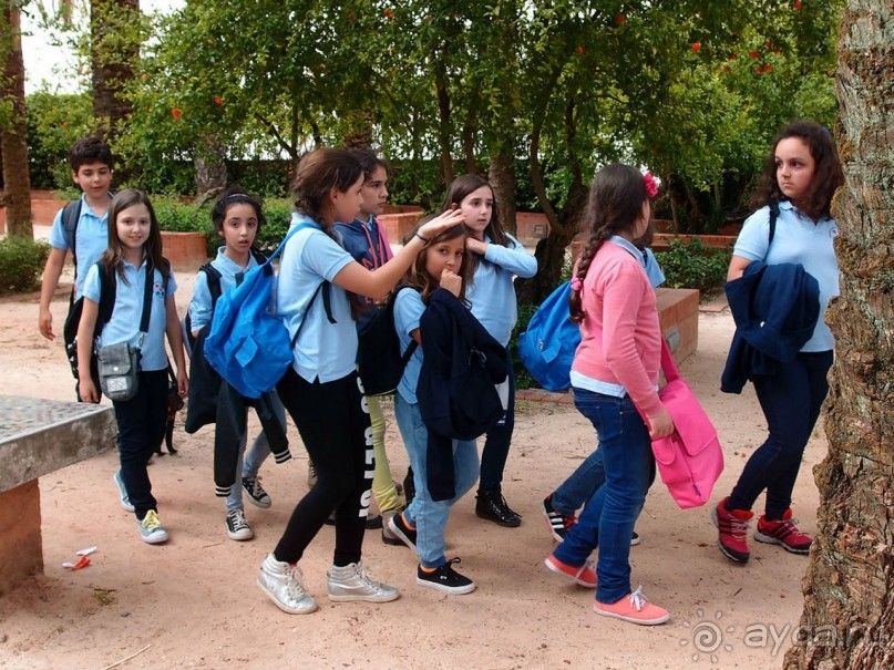 Полёт фантазии и инженерной мысли