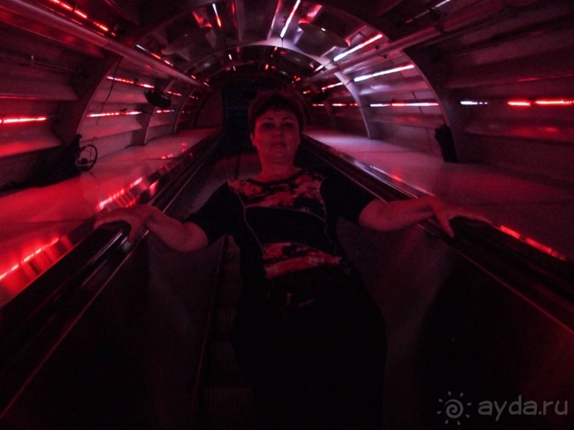 Альбом отзыва "Приключения внутри железной молекулы"