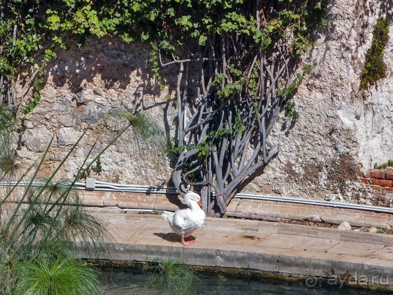 Сиракуза. Аретуза, Артемида, Архимед