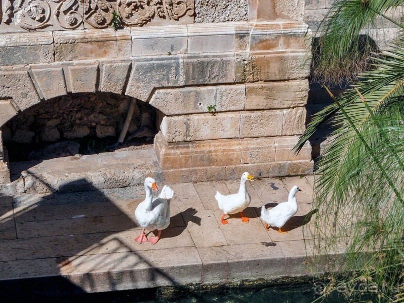 Сиракуза. Аретуза, Артемида, Архимед