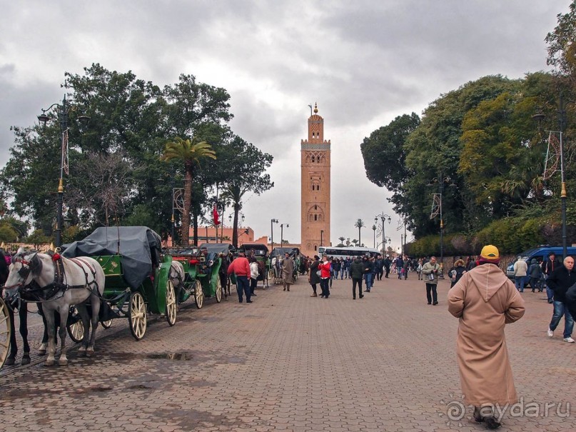 Джемаа эль-Фна. И пир, и мир, и «добры» люди