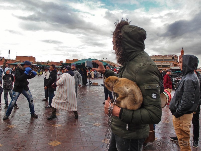 Джемаа эль-Фна. И пир, и мир, и «добры» люди