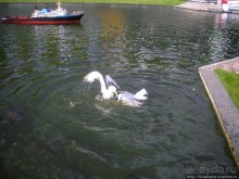 Мадуродам — страна в миниатюре