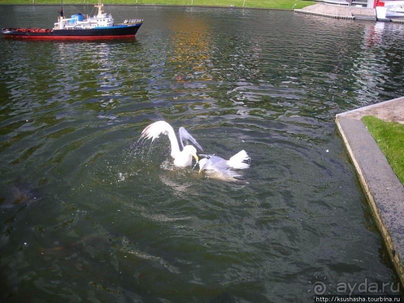 Мадуродам — страна в миниатюре Мадуродам — страна в миниатюре