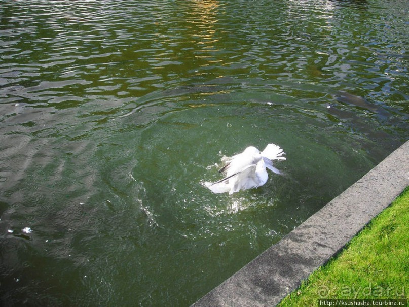 Мадуродам — страна в миниатюре Мадуродам — страна в миниатюре