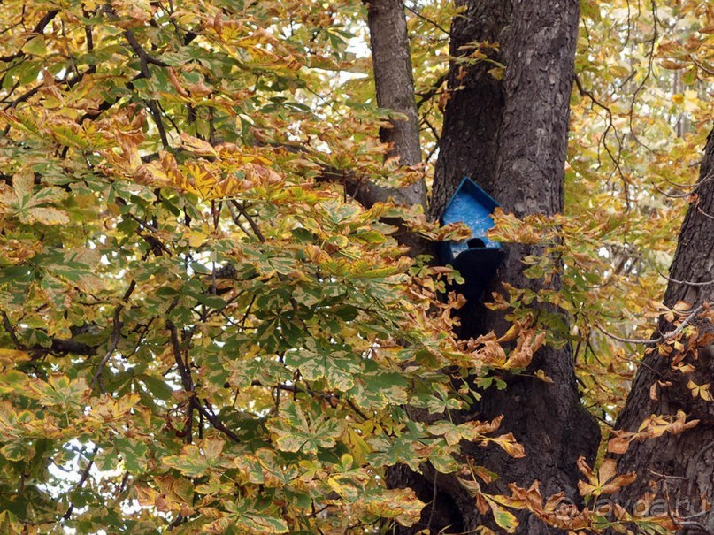 Шестая крепость