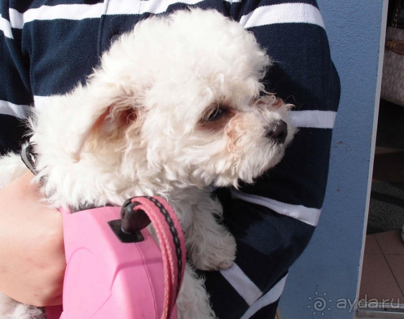 Шестая крепость