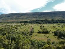 Заповедная долина в Воздушных горах