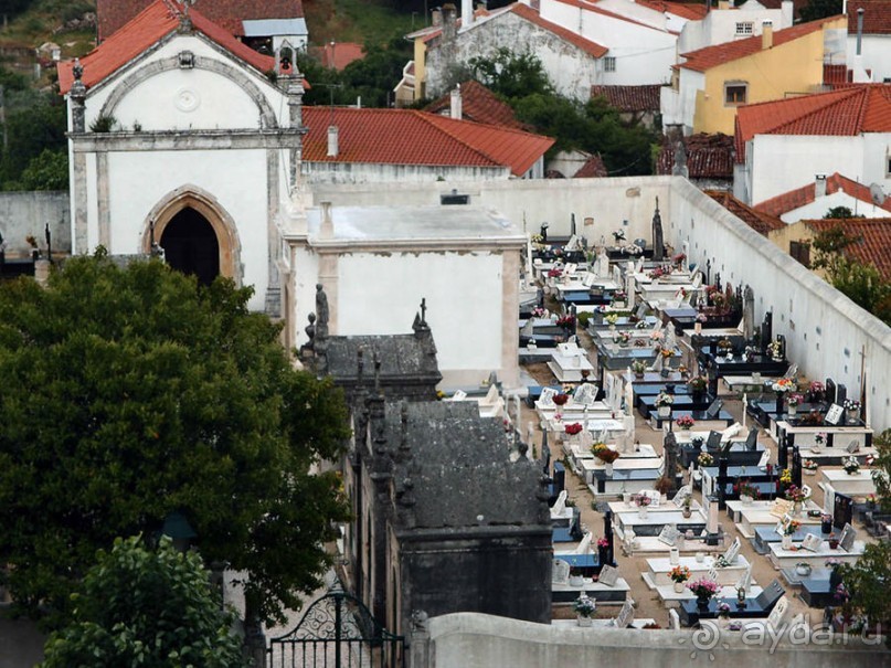 Заповедная долина в Воздушных горах