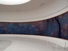 Альбом отзыва "Оранжерея для кувшинок"