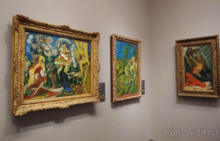 Оранжерея для кувшинок