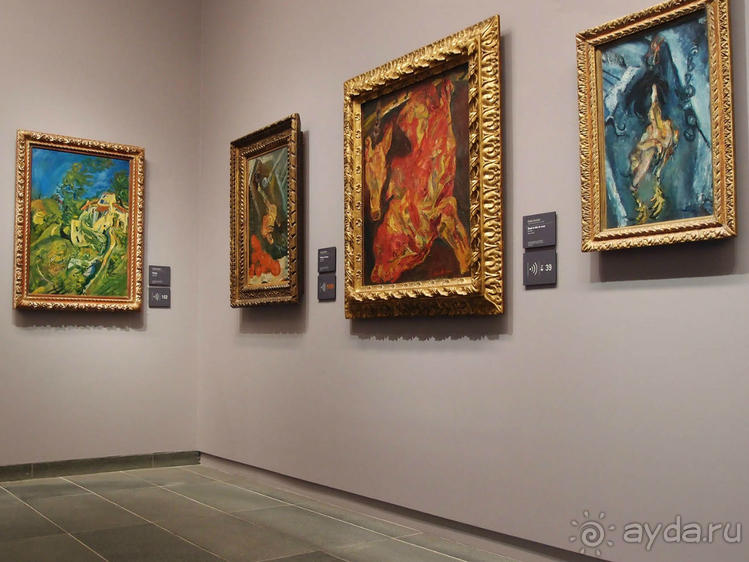 Оранжерея для кувшинок