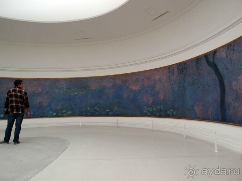 Оранжерея для кувшинок