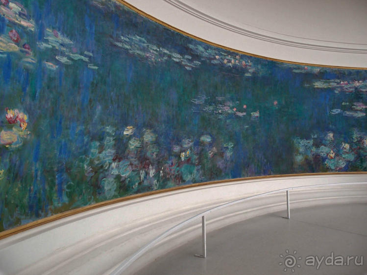 Оранжерея для кувшинок