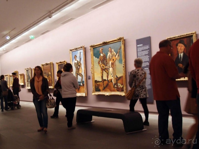 Оранжерея для кувшинок