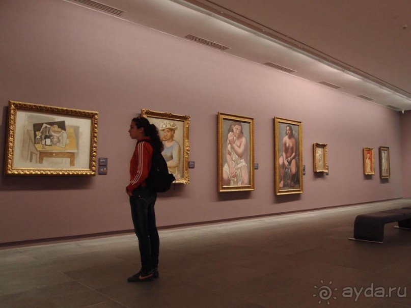 Оранжерея для кувшинок