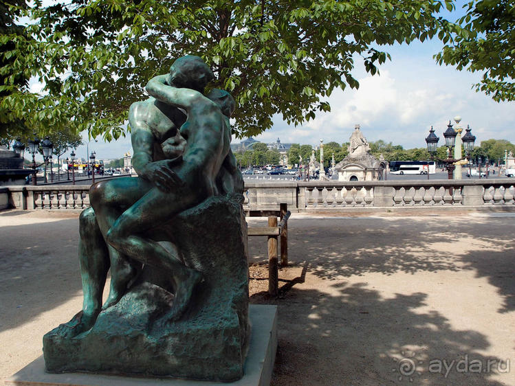 Оранжерея для кувшинок