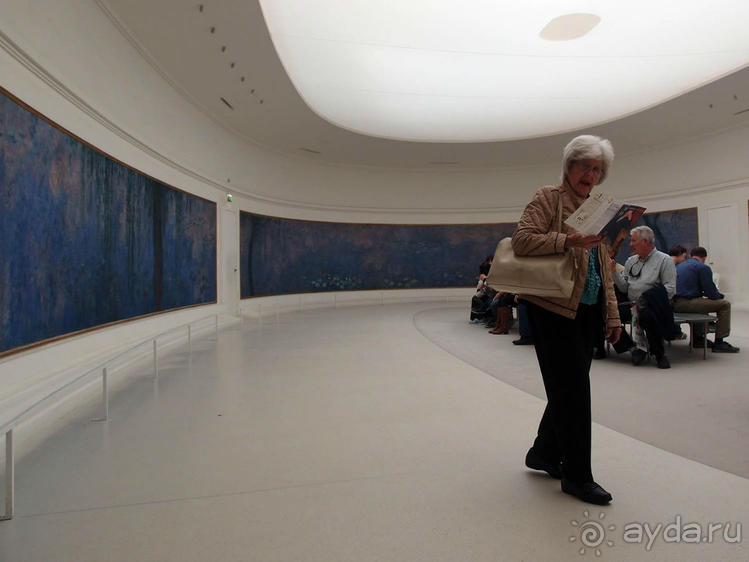 Оранжерея для кувшинок