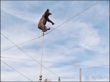 Берн. От моста до моста