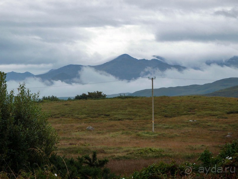 Болотная деревня и новая любовь
