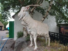 Болотная деревня и новая любовь