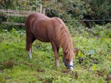 Болотная деревня и новая любовь
