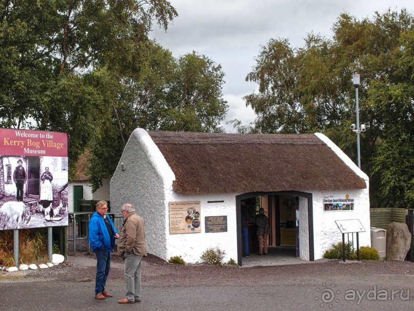 Болотная деревня и новая любовь