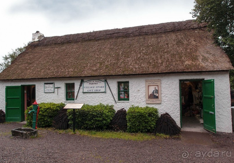 Болотная деревня и новая любовь