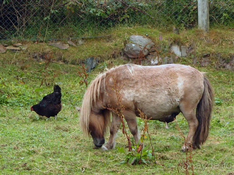 Болотная деревня и новая любовь