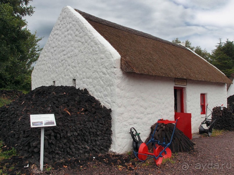 Болотная деревня и новая любовь