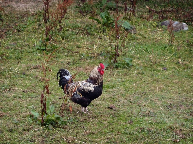 Болотная деревня и новая любовь
